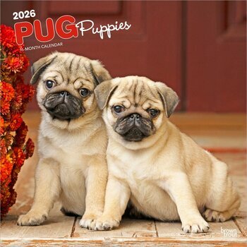 Calendrier 2025 Chien Race Carlin Chiots