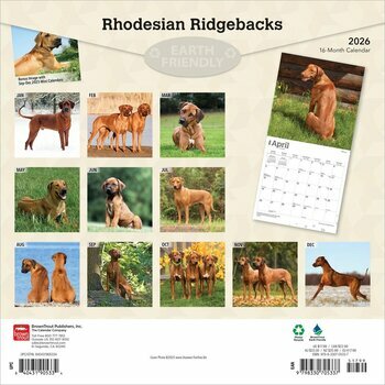 Calendrier 2025 Chien Race Rhodesian Ridgeback