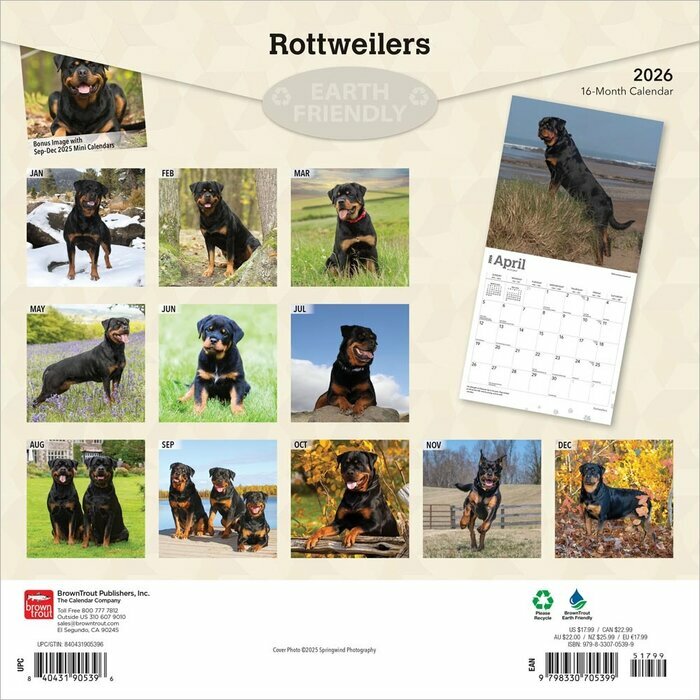 Calendrier 2025 Molosse Chien Race Rottweiler