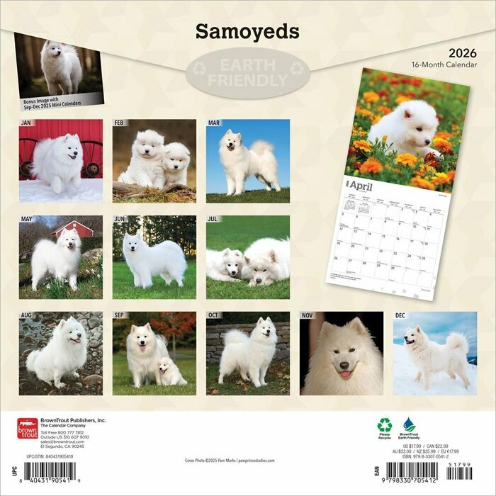 Calendrier 2025 Samoyde