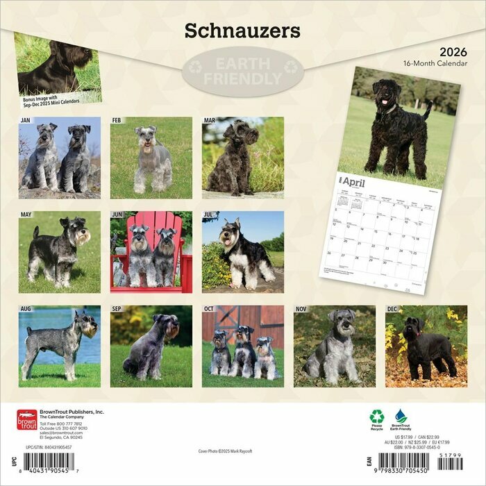 Calendrier 2025 Schnauzer