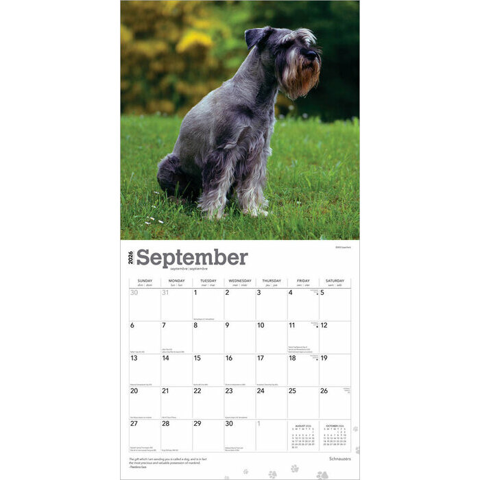 Calendrier 2025 Chien Race Schnauzer