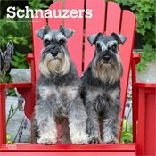 Calendrier Mural 2025 Chien Race Schnauzer