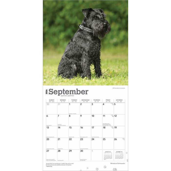 Calendrier 2025 Chien Race Schnauzer Nain