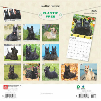Calendrier 2025 Chien Race Scottish Terrier