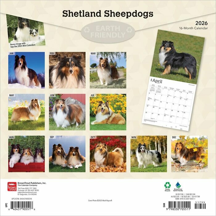 Calendrier 2025 Shetland