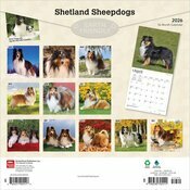 Calendrier 2025 Shetland