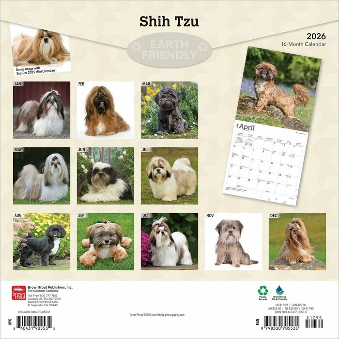 Calendrier 2025  Shih Tzu