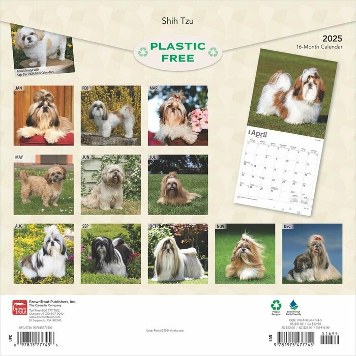 Calendrier 2025 Shih Tzu