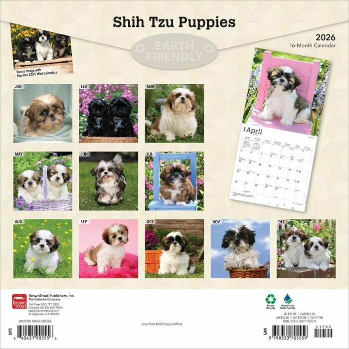 Calendrier 2026 Chien Race Shih Tzu Chiots