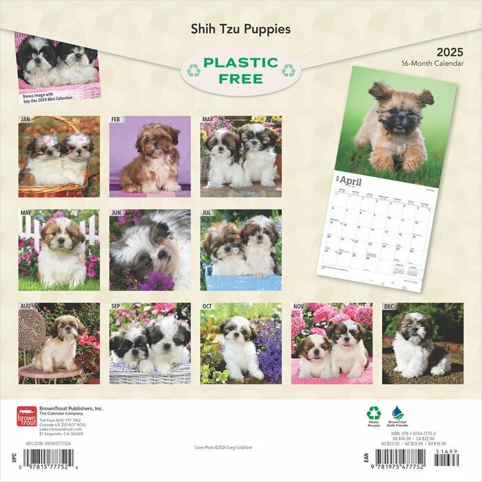 Calendrier 2025 Shih Tzu Chiots