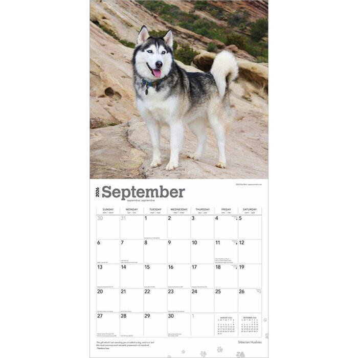 Calendrier 2025 Chien Race Siberian Husky