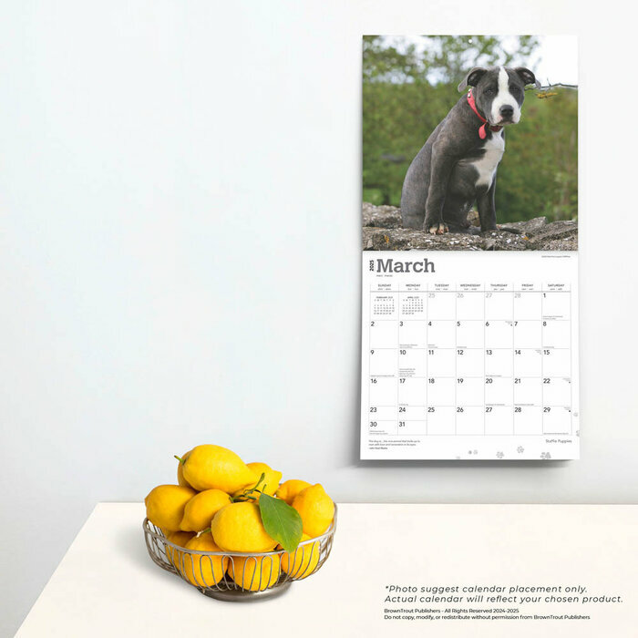 Calendrier 2025 Chien Race Staffordshire Staffie