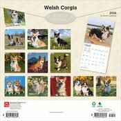 Calendrier 2025 Corgi Welsh Corgis