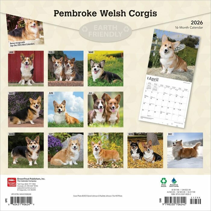 Calendrier 2026 Chien Race Welsh Corgis Pembroke