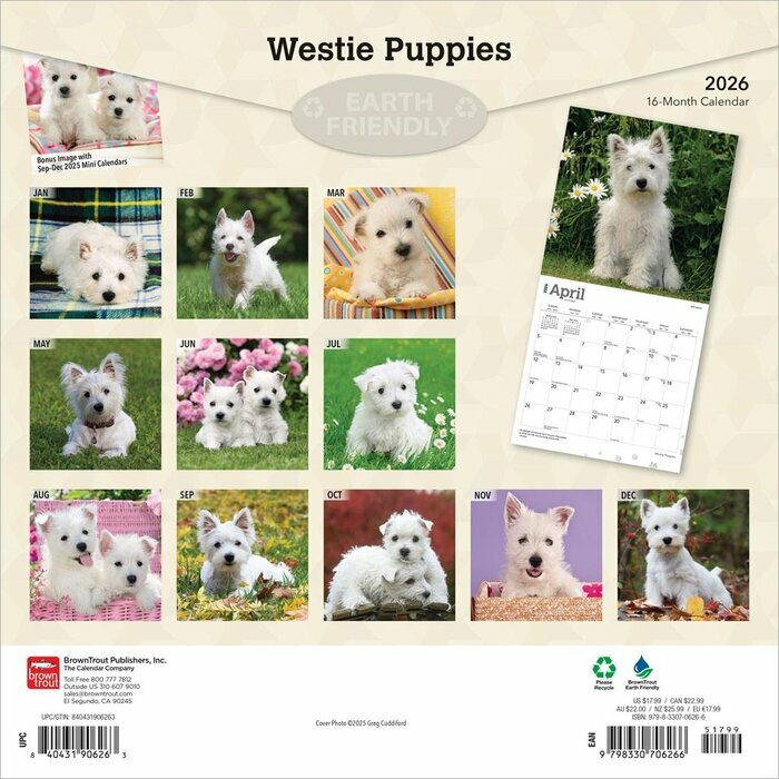 Calendrier 2026 Chien Race West Highland White Terrier Chiots