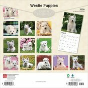Calendrier 2026 Chien Race West Highland White Terrier Chiots
