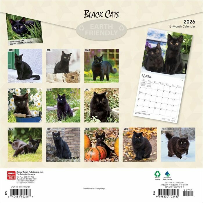 Calendrier papier 2026 Chats Noirs 