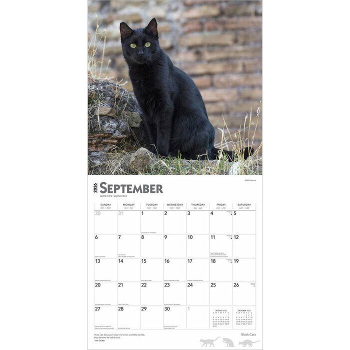 Calendrier 2026 Chats Noirs 