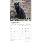 Calendrier 2026 Chats Noirs 
