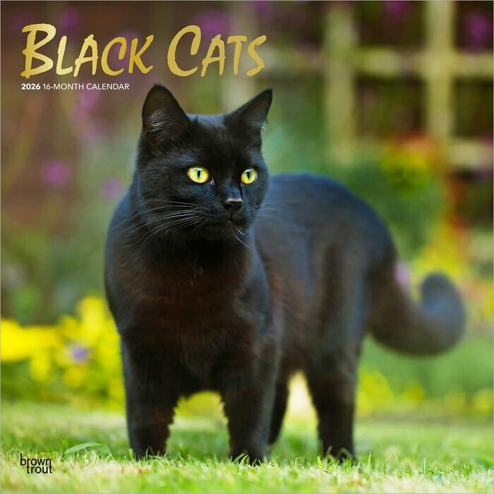 Calendrier Mural 2026 Chats Noirs 