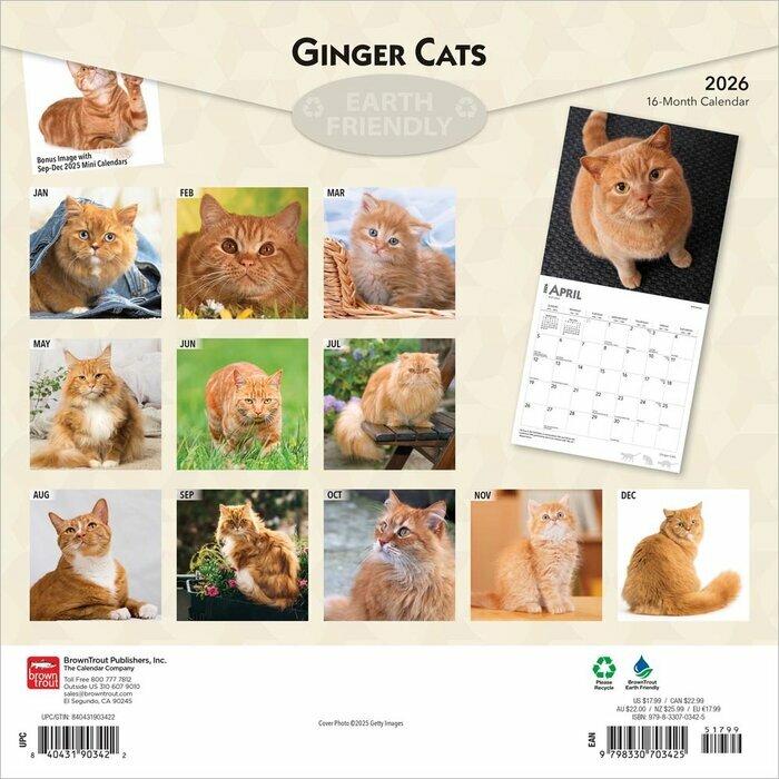 Calendrier 2026 Chats Roux