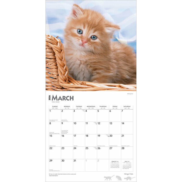 Calendrier papier 2026 Chats Roux