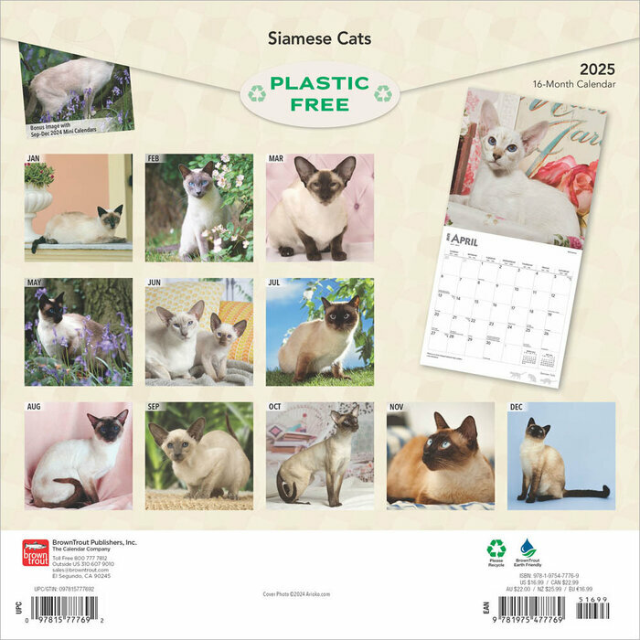 Calendrier 2025 Chats Chatons de Race Siamois