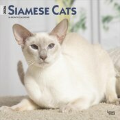 Calendrier Mural 2026 Chats de Race Siamois