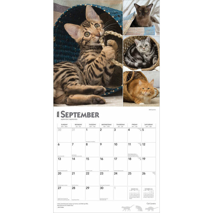 Calendrier papier 2026 Amoureux des Chats