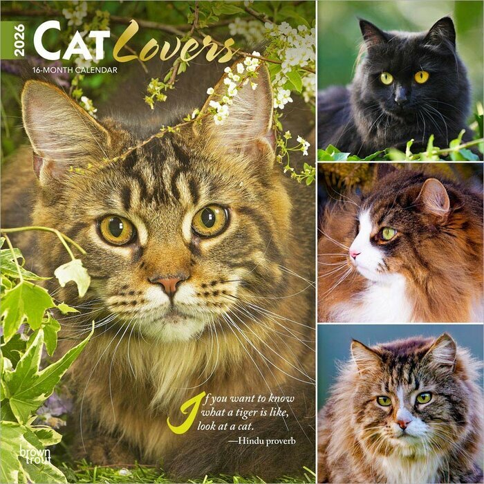 Calendrier Mural 2026 Amoureux des Chats
