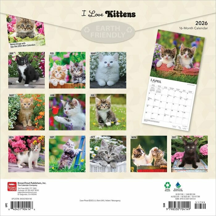 Calendrier 2025 Chatons Toutes Couleurs