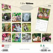 Calendrier 2025 Chatons Toutes Couleurs