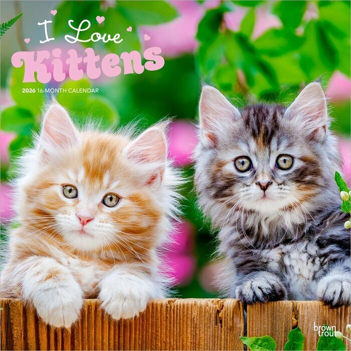 Calendrier Mural 2025 J'aime les Chatons