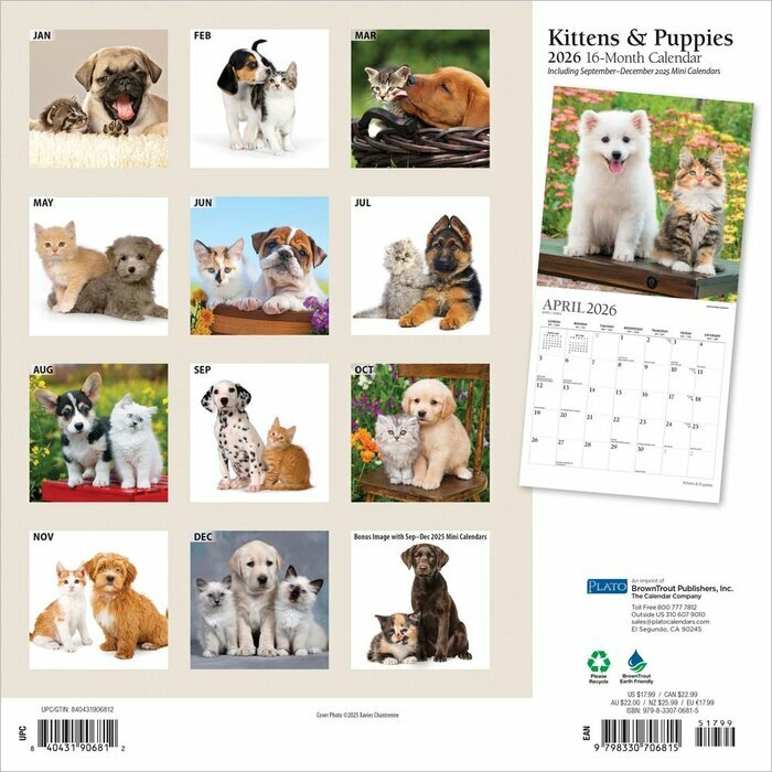Calendrier Mural 2025 Chatons et Chiots