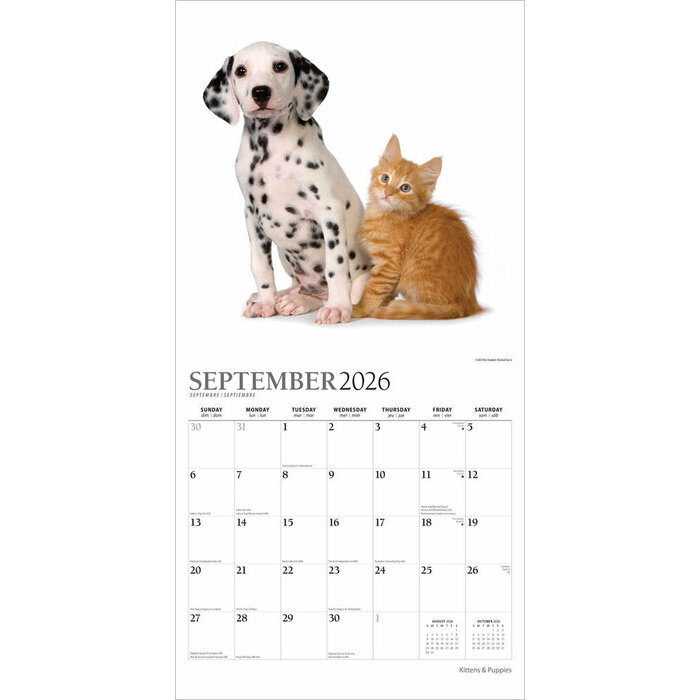 Calendrier 2025 Chatons et Chiots de race