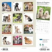Calendrier Mural 2025 Chatons et Chiots