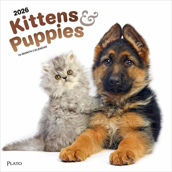 Calendrier 2025 Chatons et Chiots