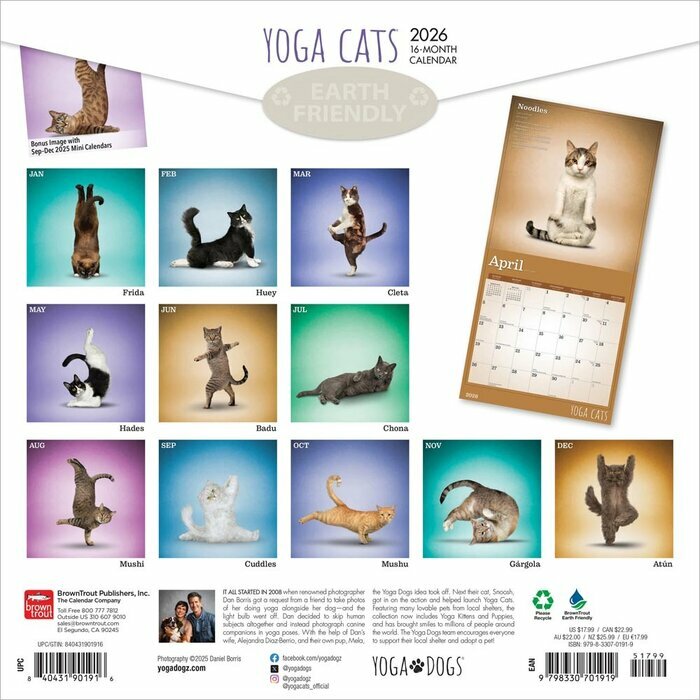 Calendrier 2026 Chats Yoga 