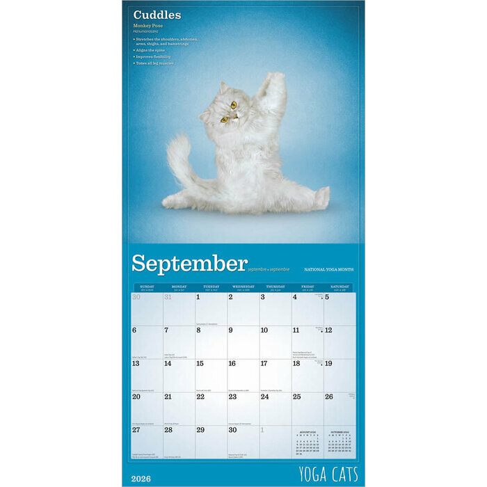 Calendrier papier 2026 Chats Yoga 