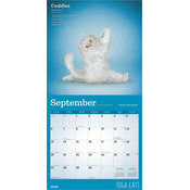 Calendrier papier 2026 Chats Yoga 