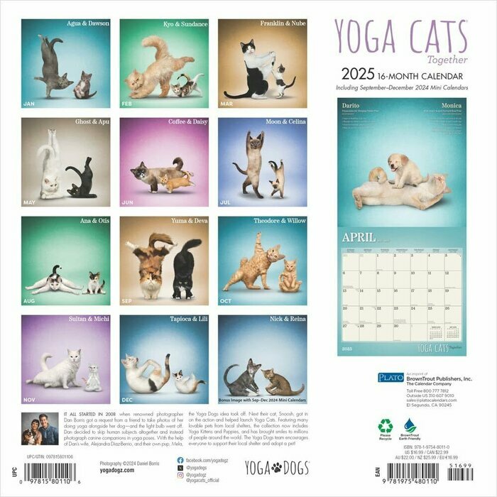 Calendrier 2025Chats Yoga 