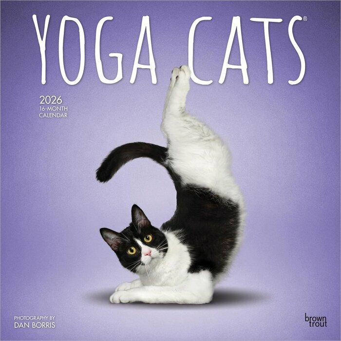 Calendrier Mural 2026 Chats Yoga 