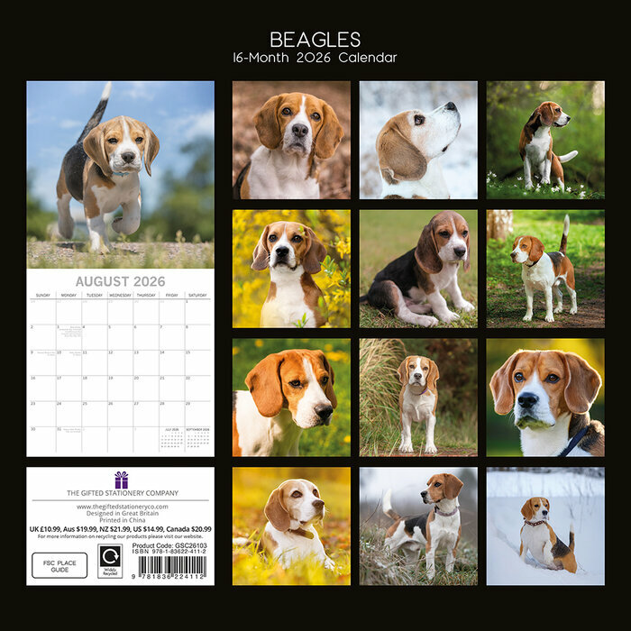 Calendrier papier 2026 Chien Beagle