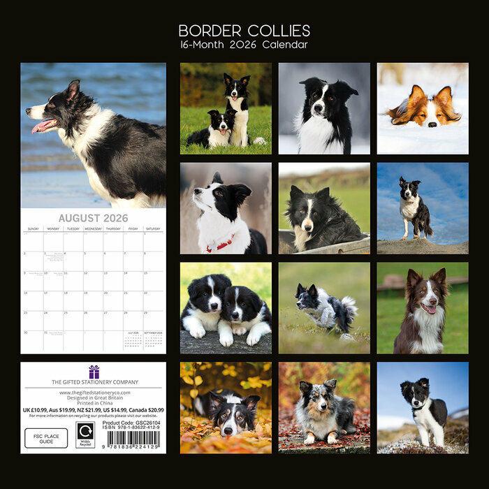 Calendrier 2026 Chien Border Collie