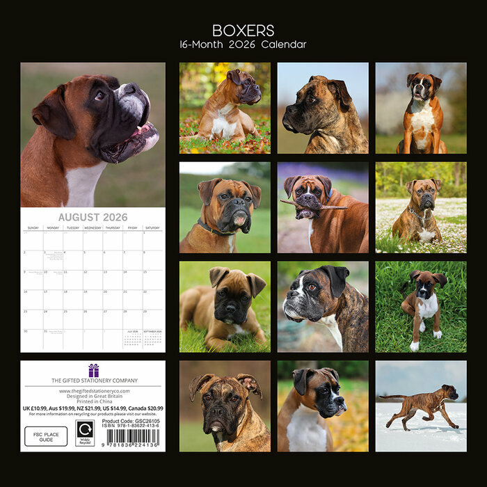 Calendrier 2026 Chien Boxer