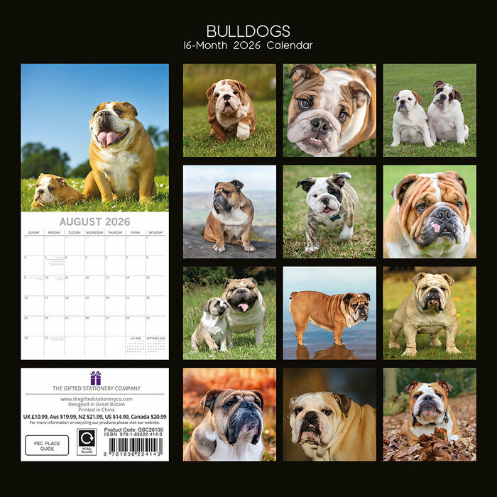 Calendrier 2026 Chien Bulldog Anglais