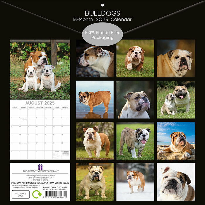 Calendrier 2025 Bulldog Anglais