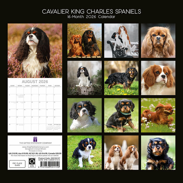 Calendrier 2026 Chien Cavalier King Charles