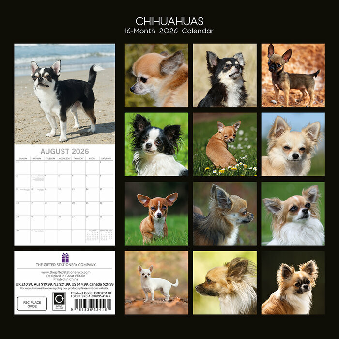 Calendrier 2025 Chien Compagnie Chihuahua